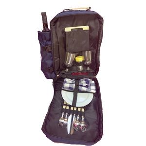 Wine Picnic Backpack with plates, utensils, cups